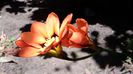 20140525_130106