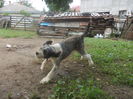DSCN1212