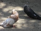 DSCF6974