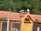 DSC02915