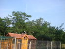 DSC02917