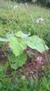 WP_20140727_001