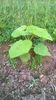 WP_20140727_002