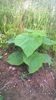 WP_20140727_003