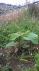 WP_20140727_004