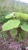 WP_20140727_005