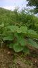 WP_20140727_006
