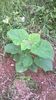 WP_20140727_007