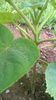 WP_20140727_011