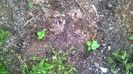 WP_20140727_012