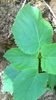 WP_20140727_015