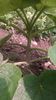 WP_20140727_018