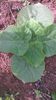 WP_20140727_019