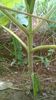 WP_20140727_020
