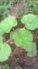 WP_20140727_021