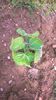 WP_20140727_022