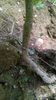 WP_20140727_023