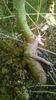 WP_20140727_024