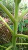 WP_20140727_025