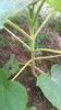 WP_20140727_026