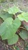 WP_20140727_027