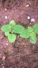 WP_20140727_028