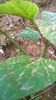 WP_20140727_033