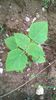 WP_20140727_036