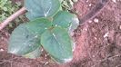 WP_20140727_039