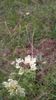 WP_20140727_041