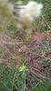 WP_20140727_042
