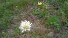 WP_20140727_043