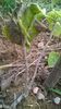 WP_20140727_045