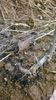 WP_20140727_046