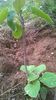 WP_20140727_047