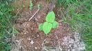 WP_20140727_048