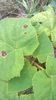 WP_20140727_051