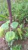 WP_20140727_053