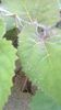 WP_20140727_054