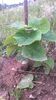WP_20140727_055