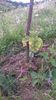WP_20140727_056