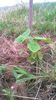 WP_20140727_057