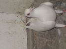 DSCN1173