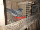 DSCN1187
