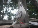 DSCN1194