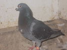 DSCN1199