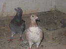 DSCN1208