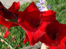 DSC06111