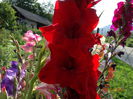 DSC06108