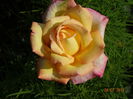 DSC06125